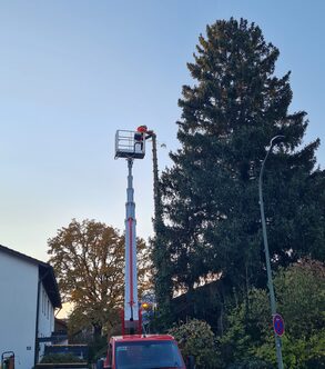 Gartenpflege – Rasenmähen und Heckenschnitt